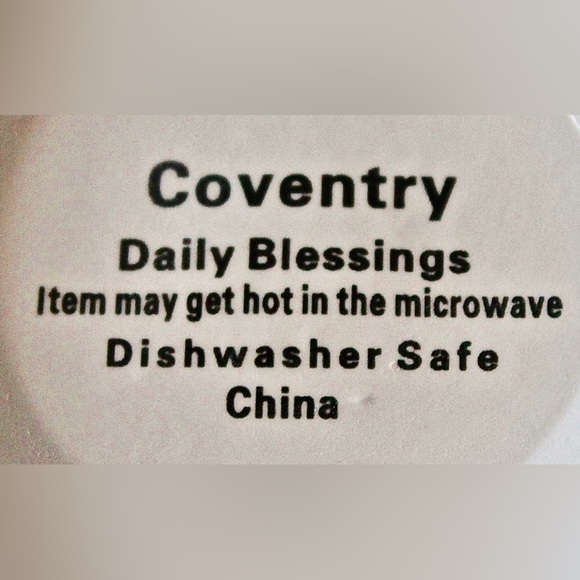 COVENTRY DAILY BLESSINGS BOWL LAMENTATIONS 3:23 NEW PORCELAIN 9 INCH - Picture 7 of 7